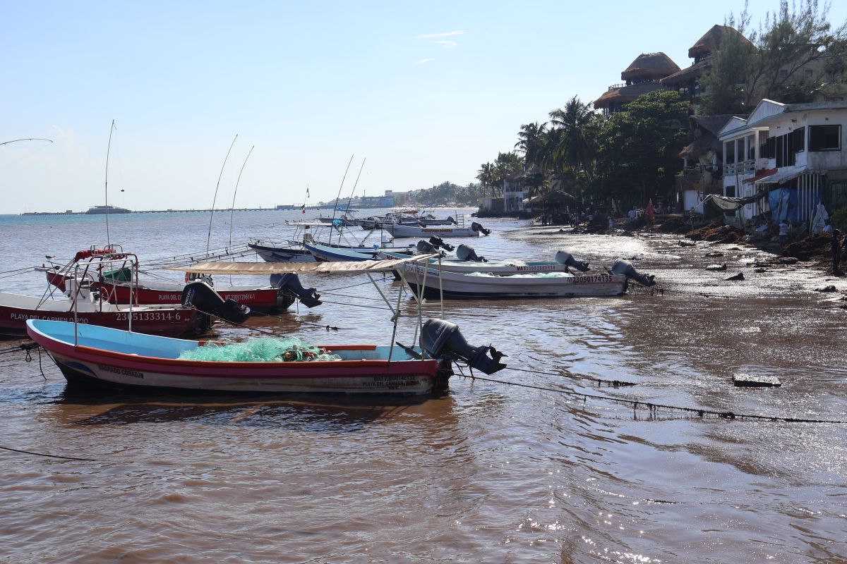 Foto galería 1
